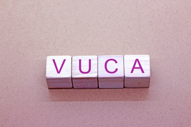 VUCA リーダーシップ【働き方/変化対応】